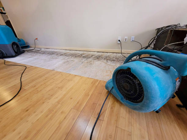Professional Flood Damage Cleanup technician working in Slidell, TX